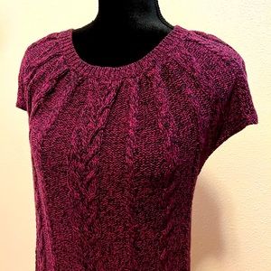 Style & Co. Sweater dress. Burgundy. XL